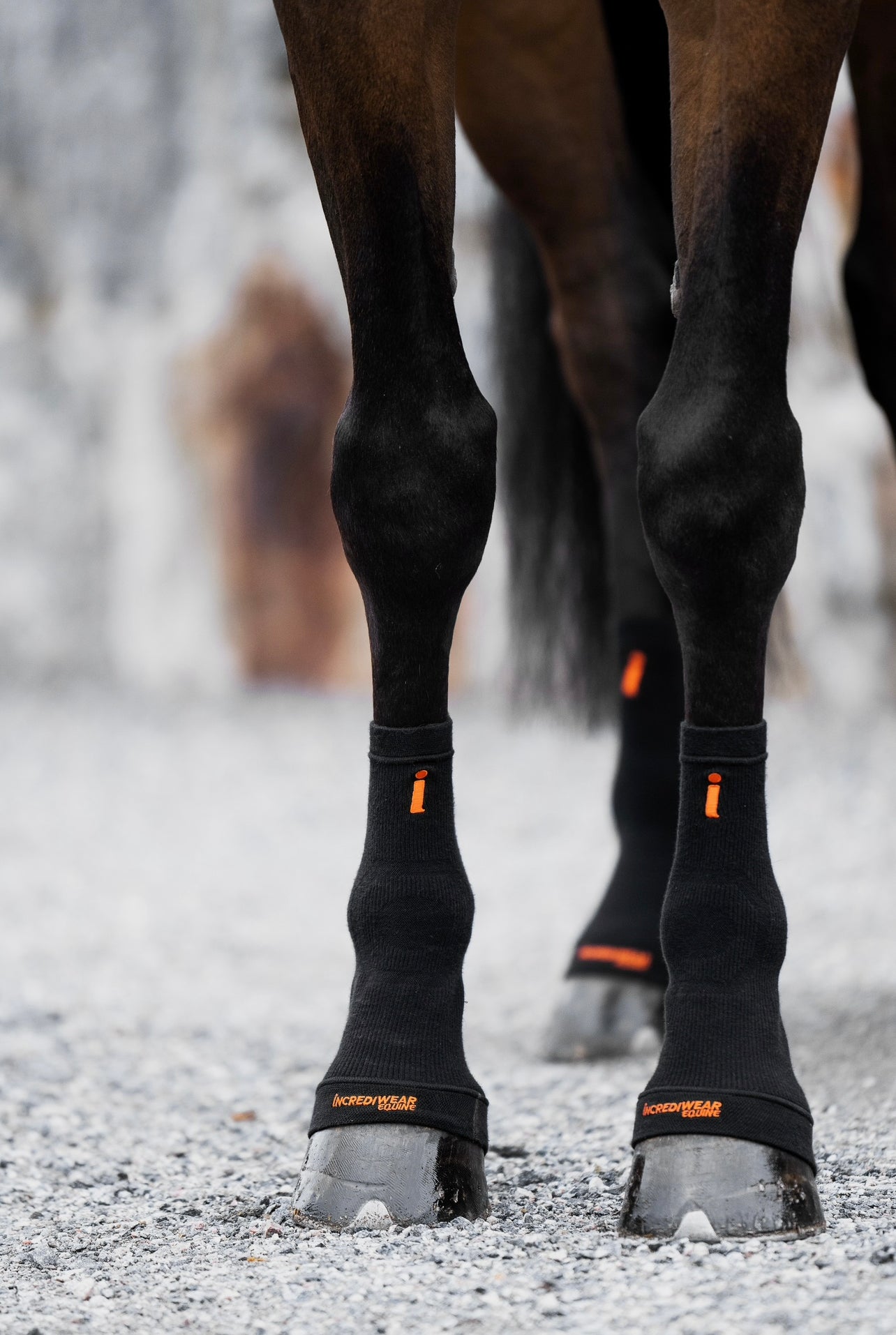 Incrediwear Circulation Hoof Socks BLACK