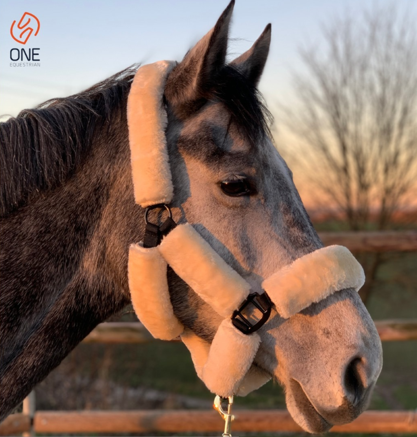 Headcollar nylon with synthetic sheepskin - Royal Horse Food