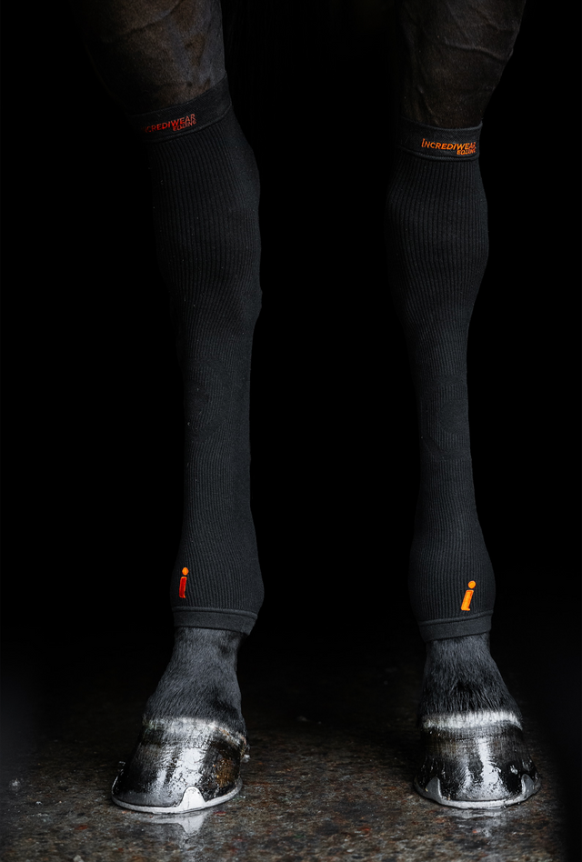 Incrediwear Hock Sleeves