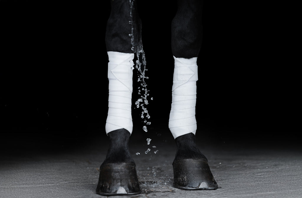 NEW Incrediwear White Circulation exercise bandages | LIMITED EDITION