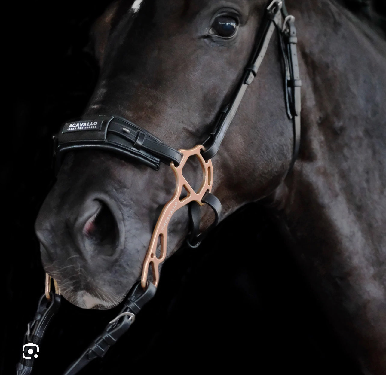 ACAVALLO Hackamore noseband with hackamore