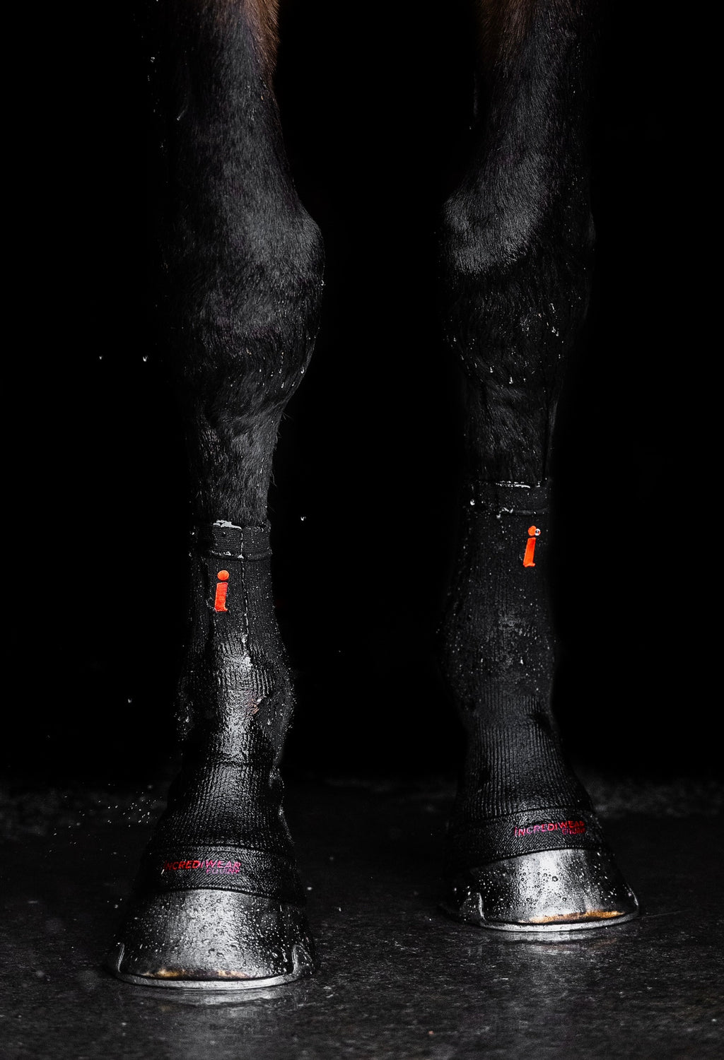Incrediwear Circulation Hoof Socks BLACK