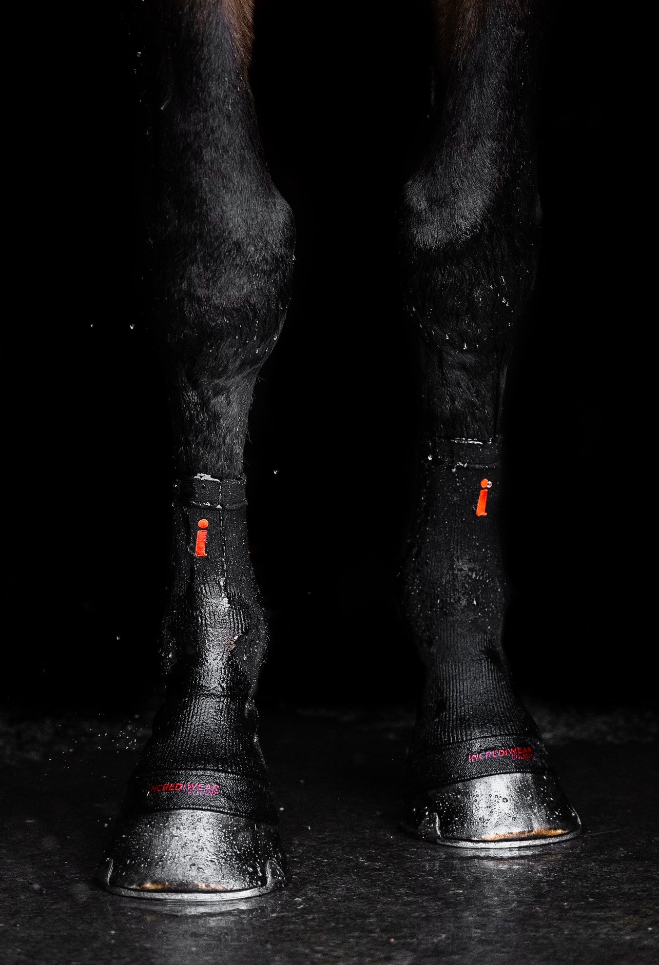 Incrediwear Circulation Hoof Socks BLACK