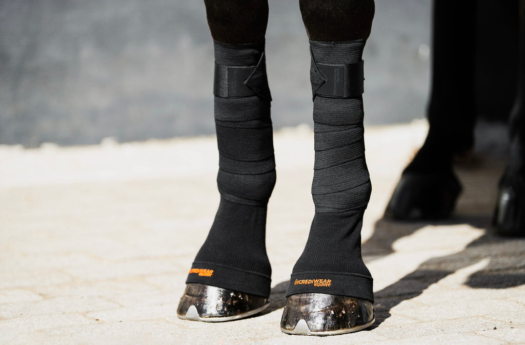 Incrediwear Circulation Hoof Socks BLACK