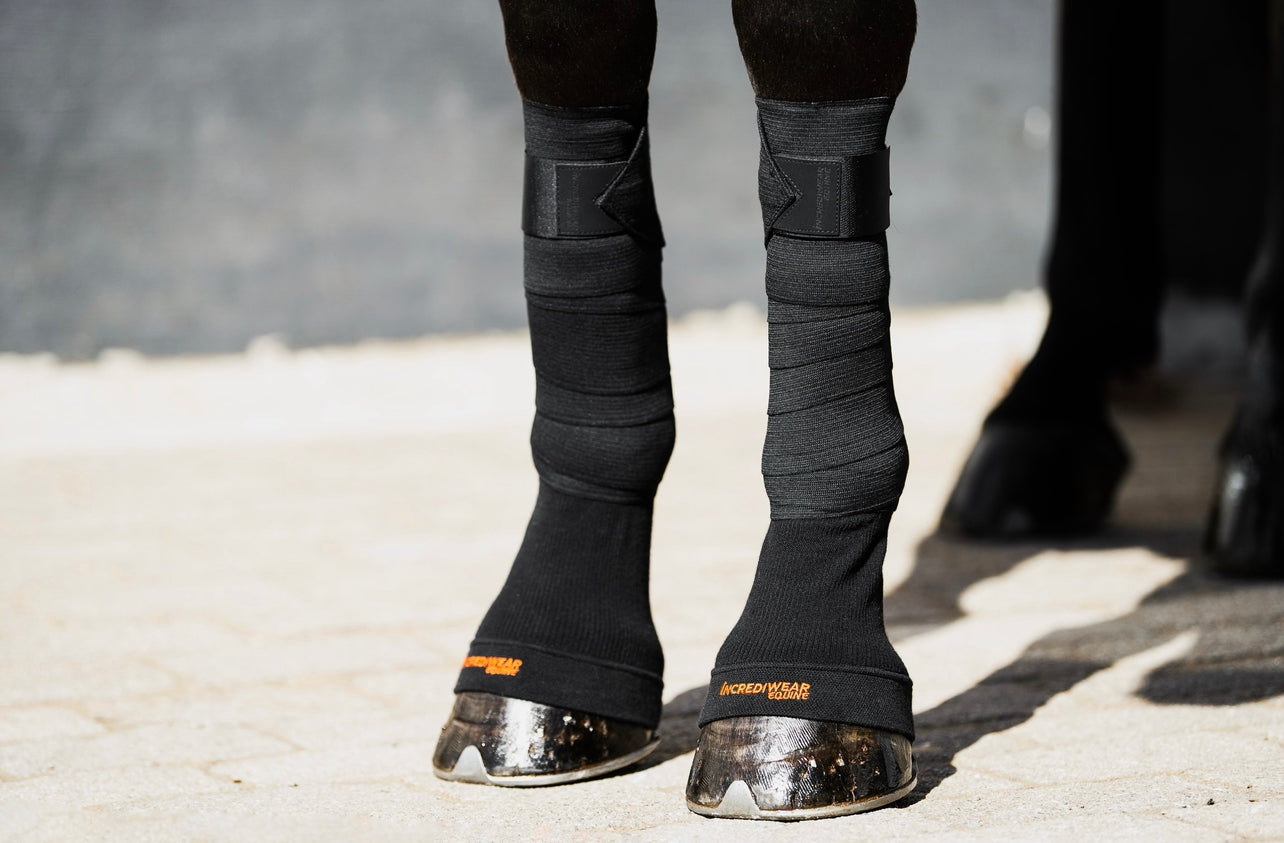 Incrediwear Circulation Hoof Socks BLACK