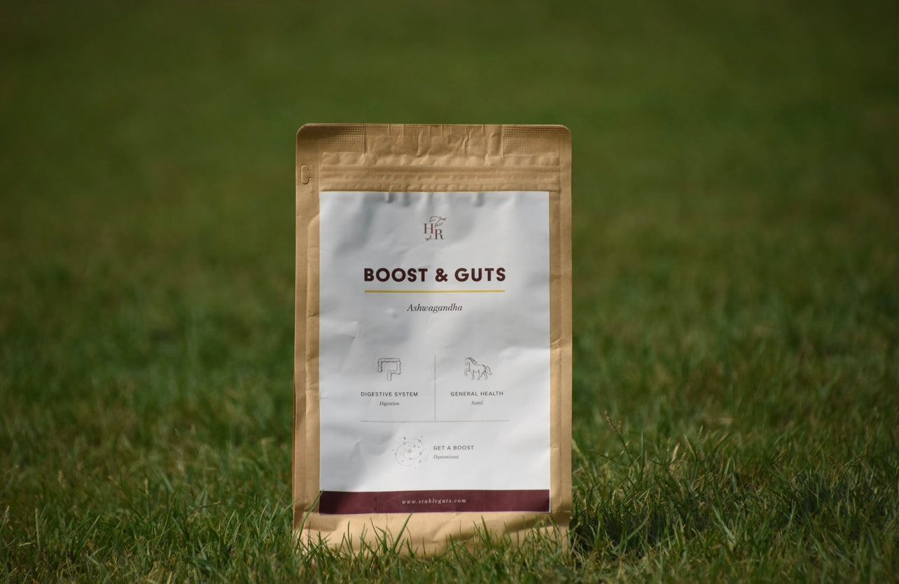 Boost & Guts | Horse Remedy 0,5KG