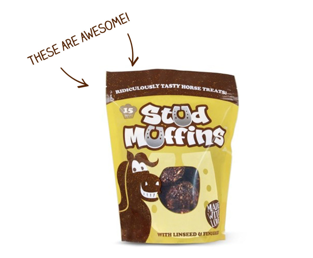 15 Stud Muffins 400 grams | Horse Treats