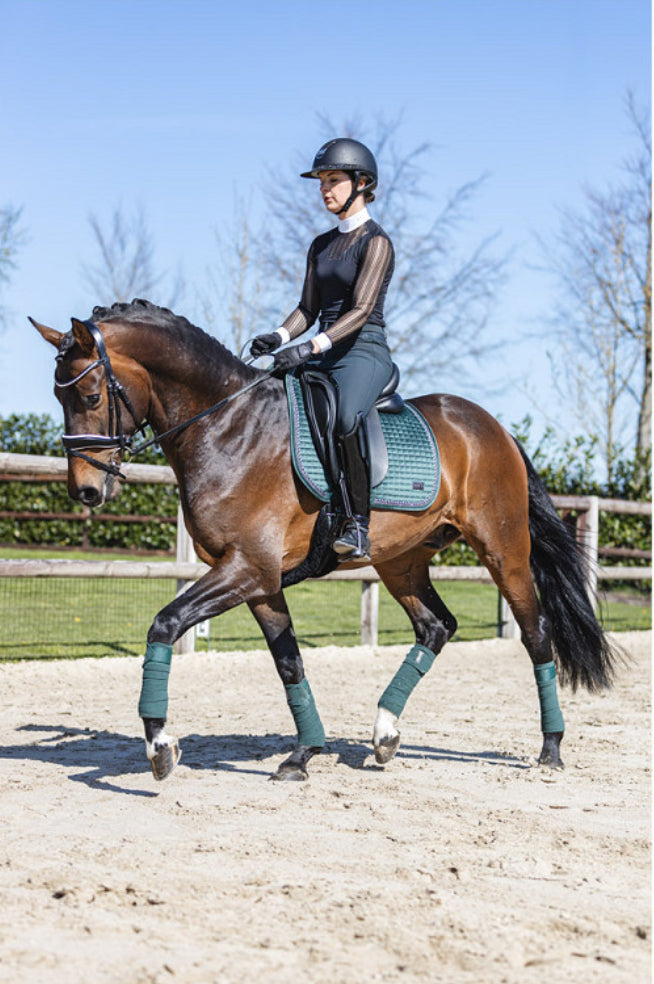 ANKY dressage saddle pad Velvet
