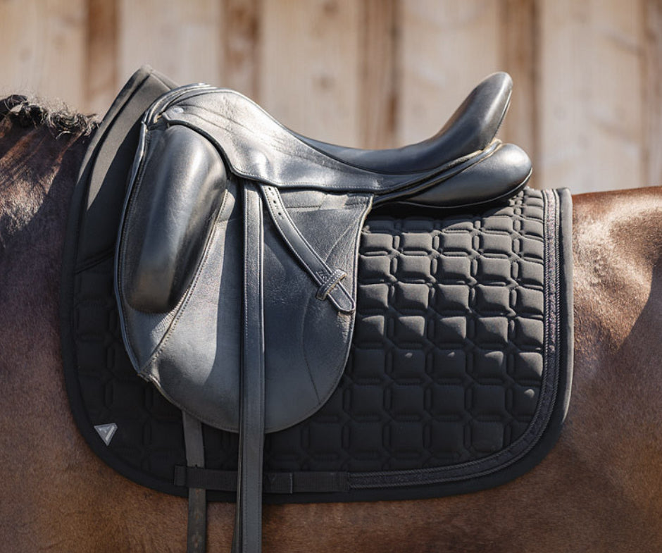 ANKY dressage saddle Luminous