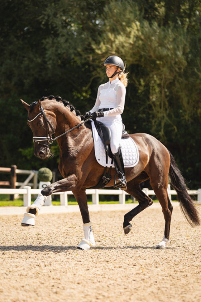 ANKY dressage saddle Luminous