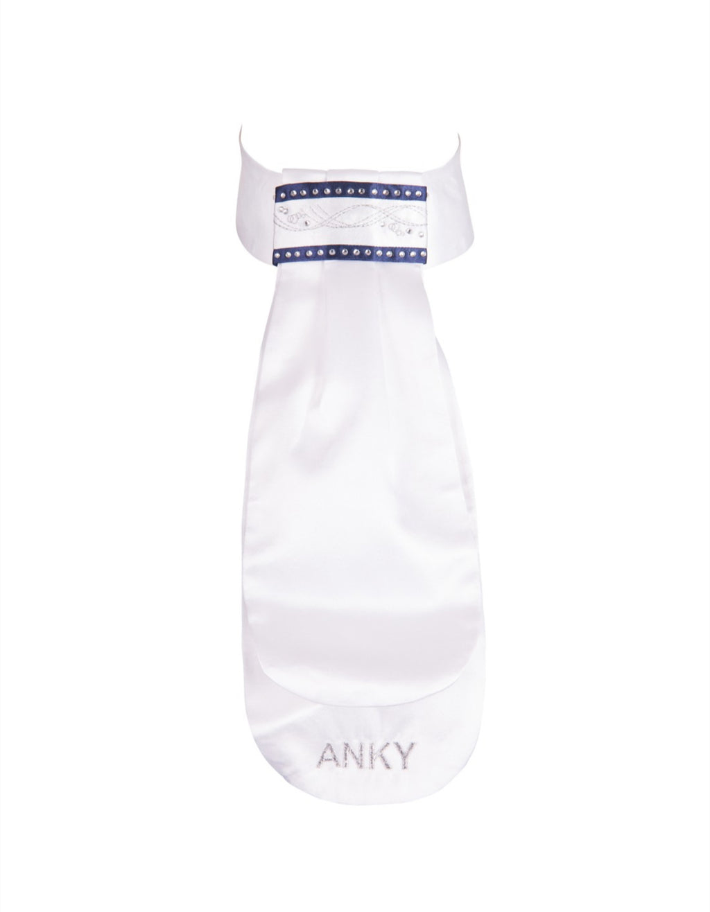ANKY Stock Tie Fancy