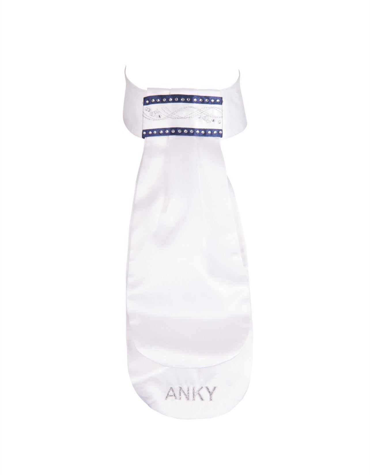 ANKY Stock Tie Fancy