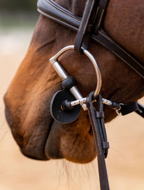 ThinLine Busy Buddy – Anti-Stress, Horse Calmer, Drug-free, Stops Fretting, Biting, Perfect Aid for Clipping, Farrier, Vet, …