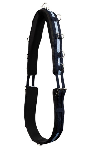 Lunging Roller