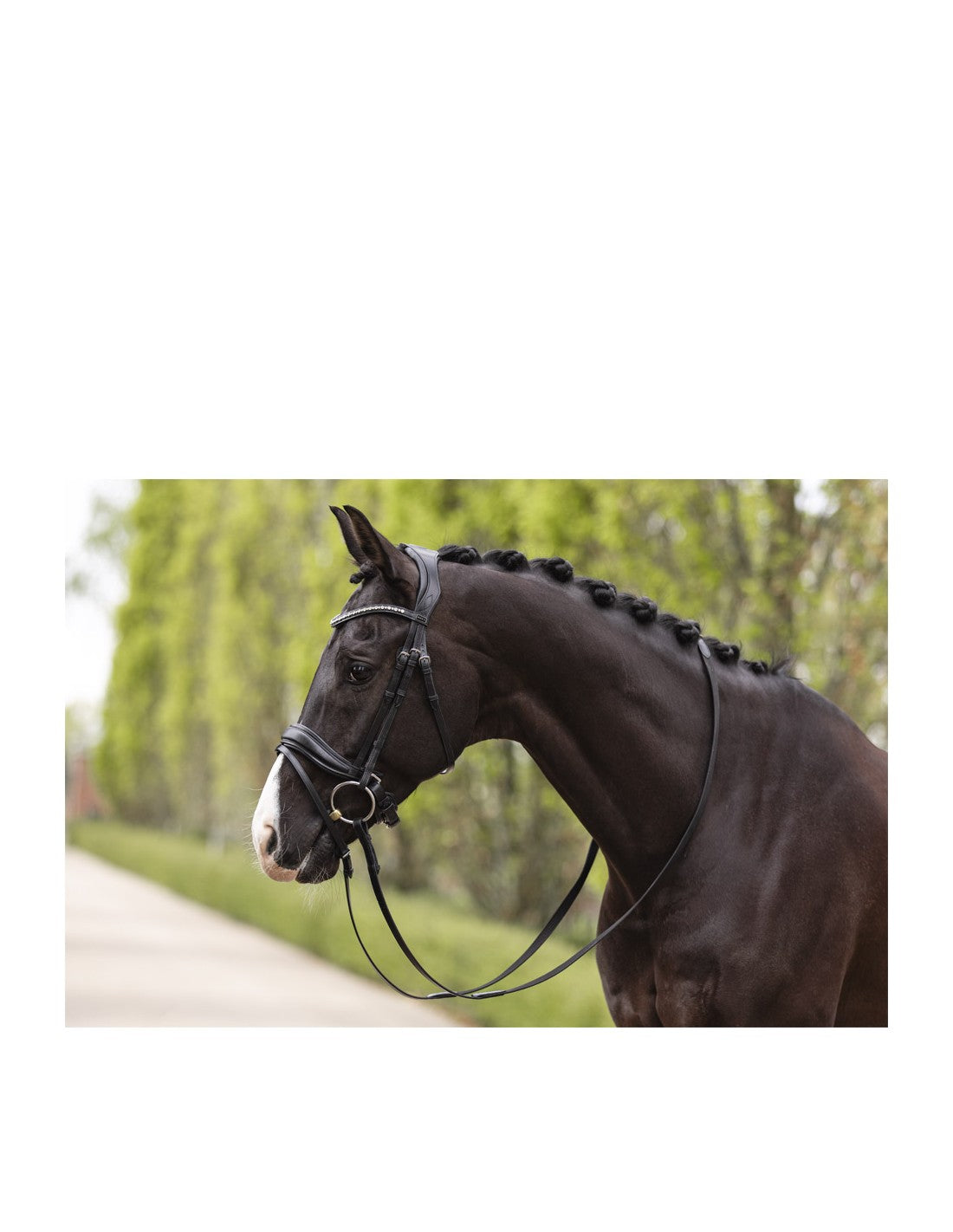 ANKY® Bridle Pullback Noseband ATH19003