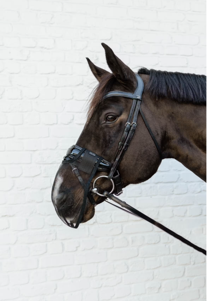 Anti Fly Nose Net | Kentucky Horsewear