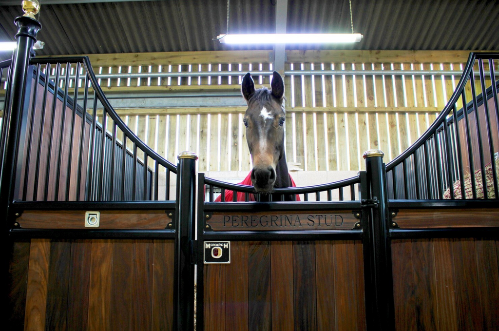 Horselight Advanced by Horselight UK