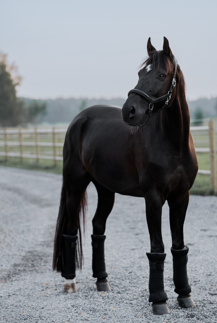 Black Circulation standing wraps