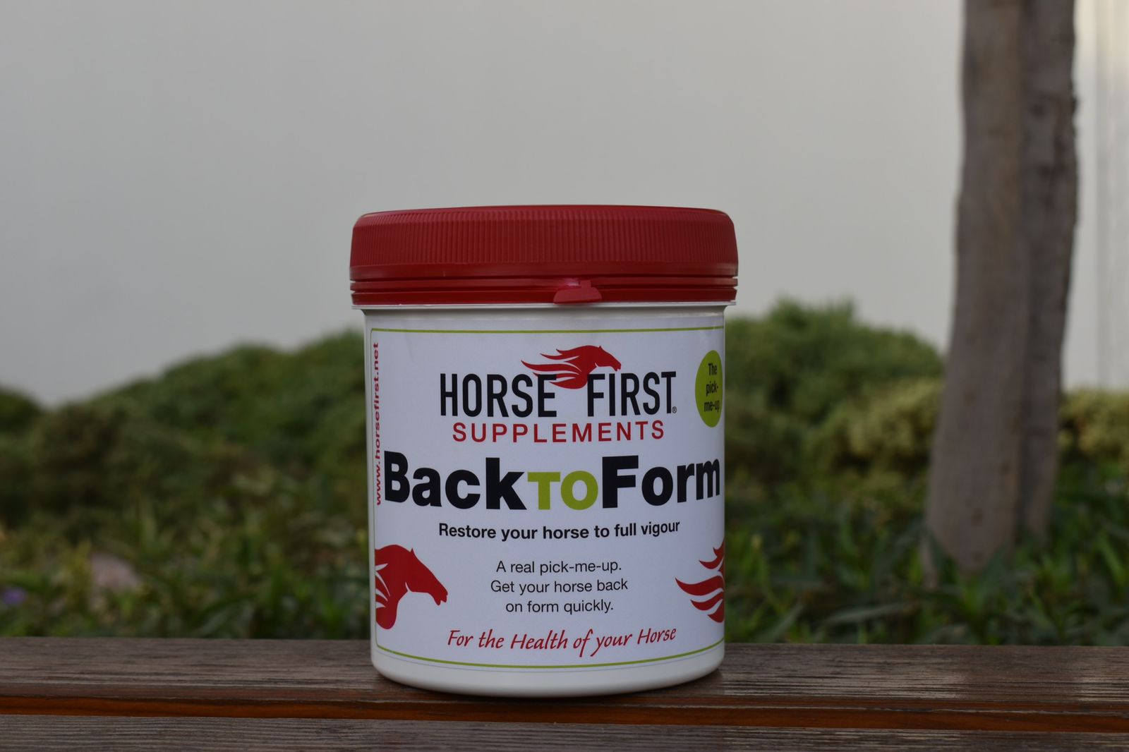 Back To Form | Horse First