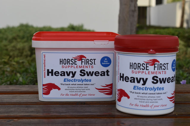 Heavy Sweat | Horse First