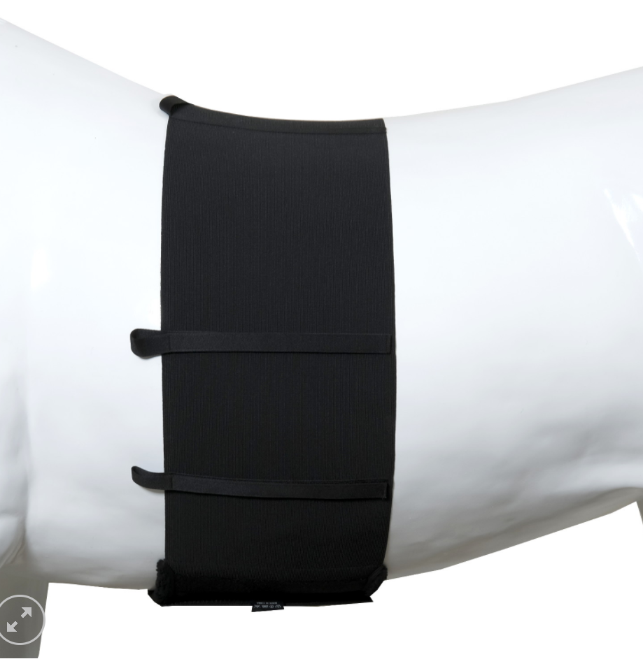 ONE Body bandage elastic 175 cm - Royal Horse Food