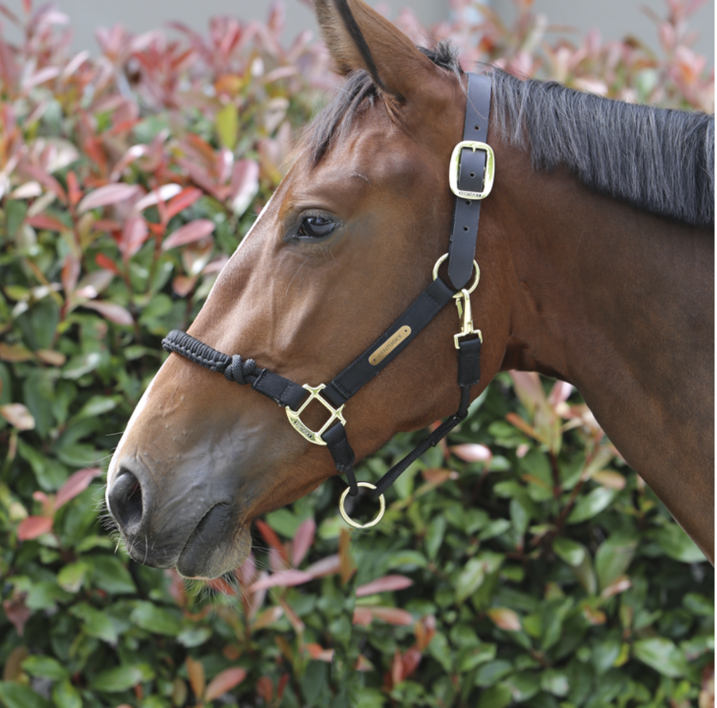 Headcollar Racks Headcollars & Leadropes – Royal Horse Boutique