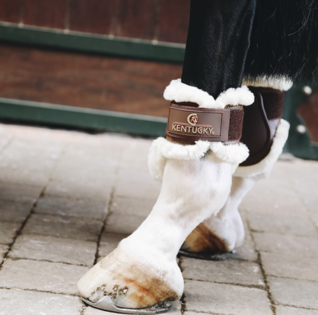 Sheepskin Fetlock Boots Young horse Full size – Royal Horse Boutique